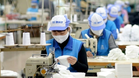 Đơn hàng dồn dập, lợi nhuận tháng 4 tăng 400%, cổ phiếu của một công ty dệt may tăng kịch trần