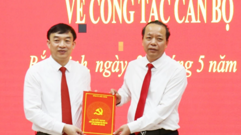 Điều động, bổ nhiệm Ủy viên Ban Thường vụ Tỉnh ủy giữ chức vụ mới