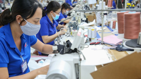Tín hiệu phục hồi của doanh nghiệp dệt may