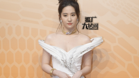 Sự kiện bùng nổ Weibo: Lưu Diệc Phi sang chảnh bên Ngô Lỗi, khung hình tựa hào môn tỷ đệ bước ra từ phim gây bão mạng
