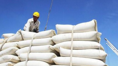 Giá gạo xuất khẩu của Việt Nam tăng