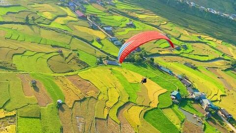 Tất tần tật kinh nghiệm du lịch Mù Cang Chải