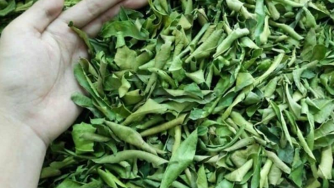1 loại lá phơi khô là “thuốc kháng sinh tự nhiên”, còn dưỡng gan, hạ đường huyết hiệu quả