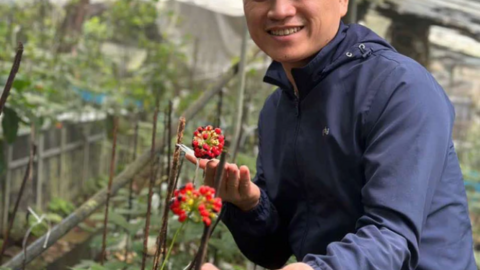 Tổng Giám đốc Lê Đức Tài: Từ kỹ sư xây dựng đến hành trình khôi phục tinh hoa y học cổ truyền Việt Nam