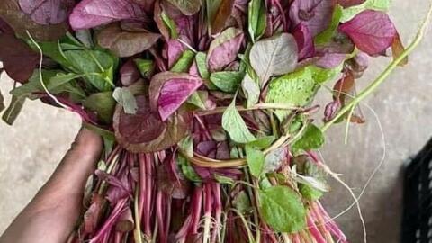 3 món ăn từ loại rau mùa hè hỗ trợ giải độc gan