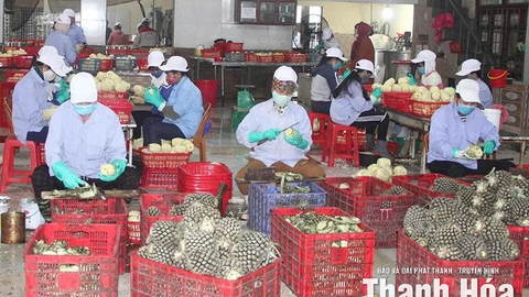 Không để gián đoạn Chương trình OCOP sau khi vận hành chính quyền địa phương 2 cấp