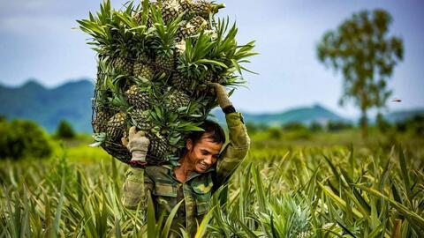 Ninh Bình ban hành Kế hoạch thực hiện Chương trình OCOP năm 2025 sau sáp nhập đơn vị hành chính