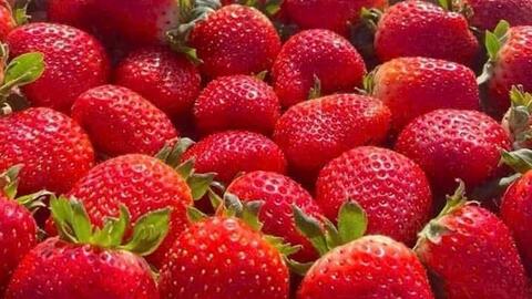 Bổ sung collagen: Nên chọn loại trái cây nào?