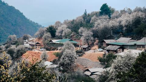 Mơ màng mùa hoa sơn tra ở bản H’Mông cao nhất Việt Nam