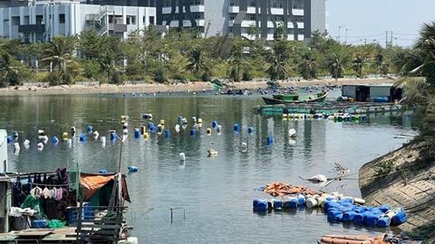 Mặt nước sông Hà Thanh bị chiếm dụng, ngư dân gặp khó