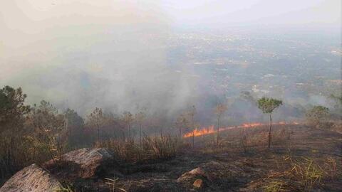 Cảnh báo các khu vực có nguy cơ cháy rừng cấp cực kỳ nguy hiểm