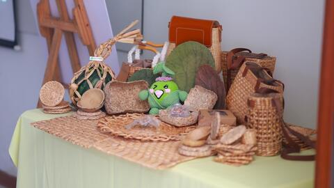 Biến lục bình, lá sen thành sản phẩm bảo vệ môi trường