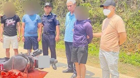 Thu giữ hơn nửa tạ vảy nghi là tê tê trên địa bàn xã Trà Lĩnh, Cao Bằng