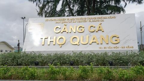 Nhiều dấu hiệu làm giả hàng trăm nhật ký khai thác hải sản ở Đà Nẵng