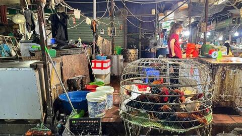 Hà Nội xử lý dứt điểm lò giết mổ nhỏ lẻ trước tháng 6.2026