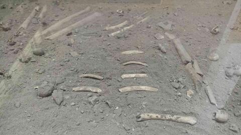 Bí ẩn 3 ngôi mộ cổ 7.500 năm trong lòng núi đá ở Cúc Phương