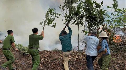 Lâm Đồng xảy ra 2 vụ cháy rừng trong dịp lễ, gây thiệt hại hơn 10ha