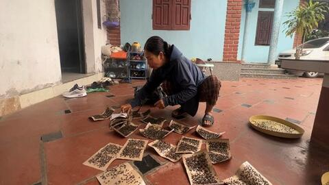 Người dân khổ sở vì ruồi dày đặc quanh bãi rác Nam Sơn