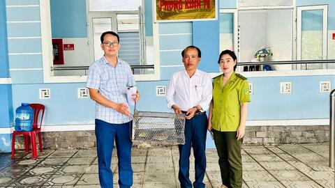 Kỳ đà vân được người dân giao nộp để thả về tự nhiên