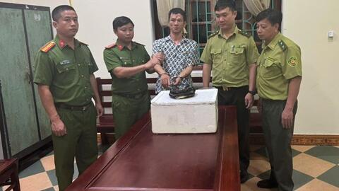 Vận chuyển một cá thể rắn hổ chúa đã chết, người đàn ông ở Ninh Bình bị khởi tố