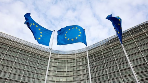 EU đang xem xét thu hồi quyền phủ quyết đối với các thành viên mới
