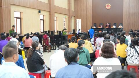Tuyên án chung thân nguyên Tổng Giám đốc lừa đảo chiếm đoạt hơn 426 tỉ đồng