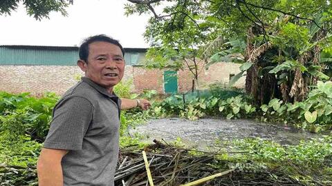 Ô nhiễm kéo dài từ các trang trại chăn nuôi ở Hưng Yên