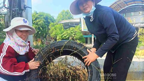 Dịch sốt xuất huyết, tay chân miệng diễn biến phức tạp ở Lâm Đồng