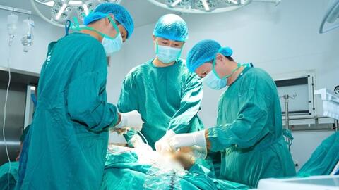 Con số ít ai ngờ sau 1 tháng vận hành Bệnh viện Bạch Mai cơ sở Ninh Bình
