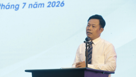 Tái cấu trúc mạng lưới, hình thành các đại học dẫn dắt