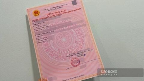 Luật sư phân tích căn cứ quan trọng xác định đất sử dụng ổn định khi cấp sổ đỏ