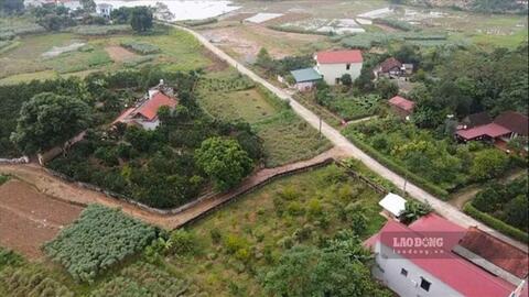 Xây nhà trên đất nông nghiệp 5 năm, nộp phạt vẫn có thể bị tháo dỡ