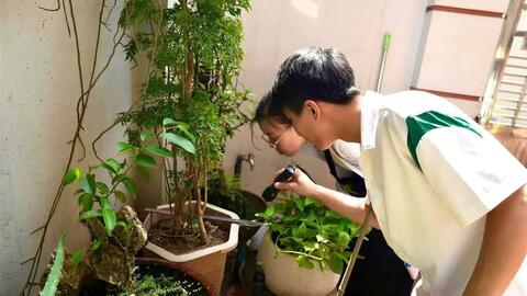 Hải Phòng còn 12 ổ dịch sốt xuất huyết đang hoạt động