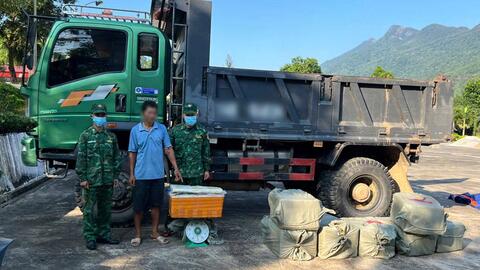 Phát hiện xe tải chở 400kg nầm lợn đông lạnh chưa rõ nguồn gốc
