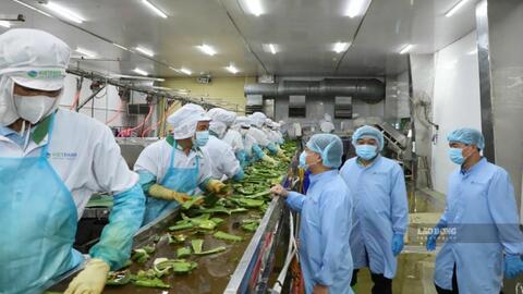 Trang bị cho người lao động kỹ năng tự bảo vệ trên không gian mạng