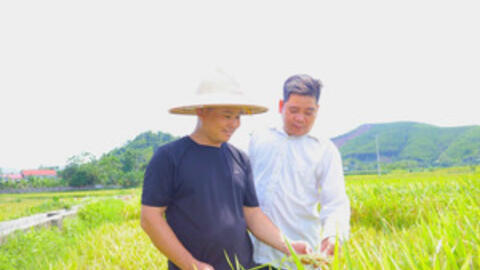 Từ vốn vay đến những mô hình sinh kế hiệu quả ở Yên Sơn