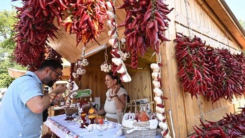 Ớt làm paprika ngày càng vắng bóng trên đồng ruộng Hungary
