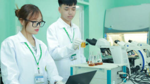 Giá trị của trường đại học được thể hiện ở tri thức được tạo ra