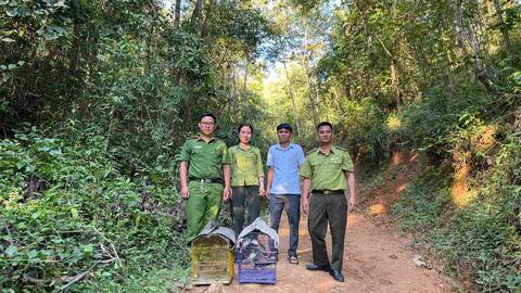 Xử phạt người đàn ông ở Điện Biên vì nuôi nhốt trái phép chim hoang dã