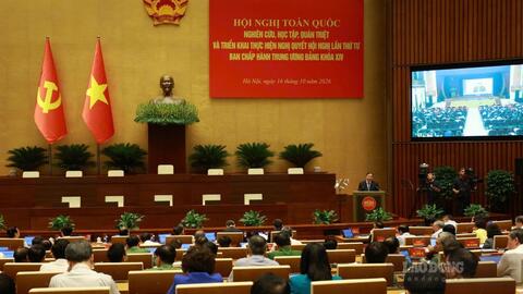 Khắc phục tình trạng đầu tư sân bay, cảng biển, khu thương mại tự do theo phong trào