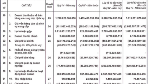 Phát Đạt (PDR) lãi kỷ lục 751 tỷ đồng quý 4, nâng tổng lợi nhuận sau thuế cả năm lên 1.860 tỷ đồng