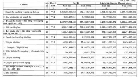Thuỷ sản Nam Việt (ANV): Quý 4 lãi 53 tỷ đồng, giảm 39% so với cùng kỳ