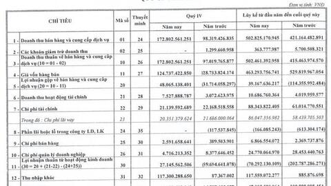 Nhờ được xoá nợ, Vitranschart (VST) báo lãi quý 4 đạt 133 tỷ đồng