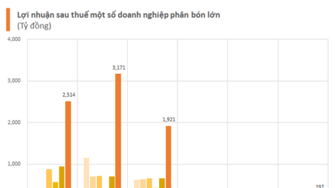 Giá bán tăng mạnh, nhóm doanh nghiệp phân bón lãi lớn quý 4 và cả năm 2021