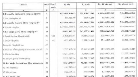 May Việt Tiến (VGG): Năm 2021 lãi ròng 84 tỷ đồng - thấp nhất trong lịch sử hoạt động