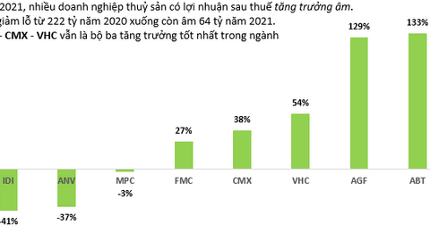 Những đại gia “bán cá buôn tôm” Việt lội ngược dòng ngoạn mục trong bão Covid 2021 là ai?