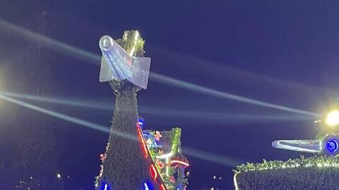 Khách du lịch Đà Lạt hé lộ góc khuất "bóc lột" của 2 chú chó nổi tiếng: Làm việc "xuyên Tết", bị đánh như cơm bữa?