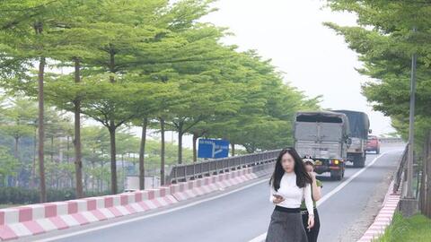 Hà Nội: Bất chấp nguy hiểm, nhiều người ra giữa đường chụp ảnh với hàng cây bàng lá nhỏ