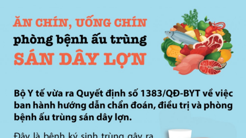 Ăn chín, uống chín phòng bệnh ấu trùng sán dây lợn