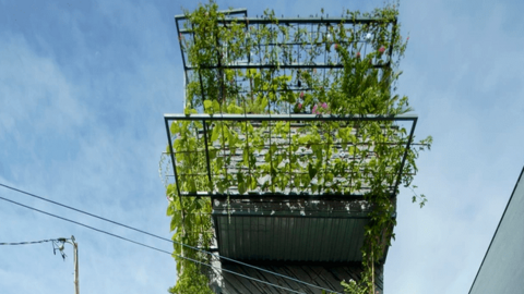 Ngôi nhà không quan trọng kiến trúc, miễn là có cây xanh